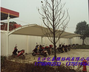ZM13