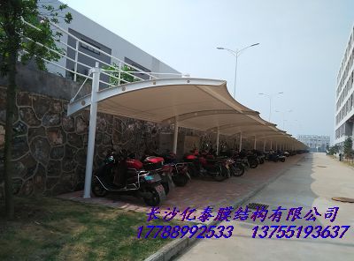 ZM1